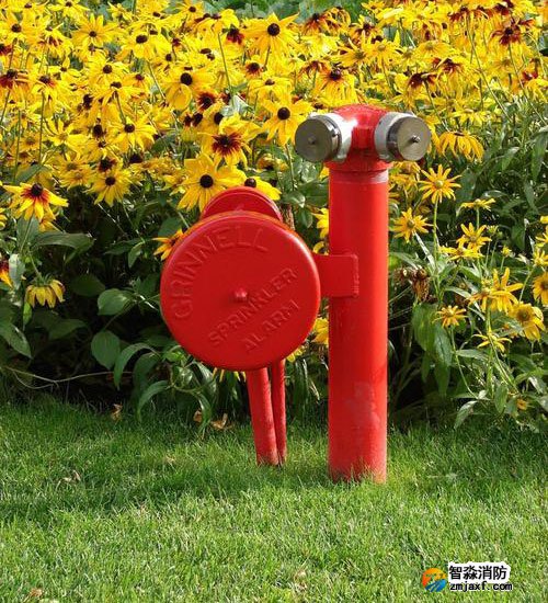 湖北消防公司 湖北消防公司